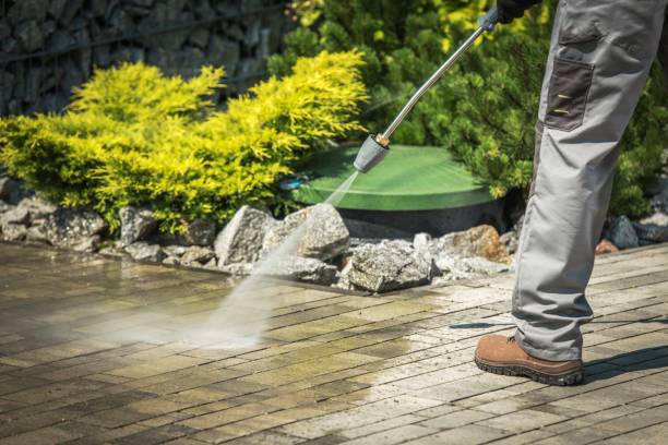 Best Patio and Deck Pressure Washing  in Alb, IA
