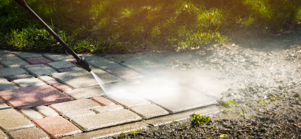 Best Gutter Cleaning  in Alb, IA